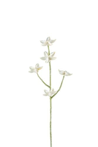 Eternell - Hvit - 50 cm - www.frokenfraken.se