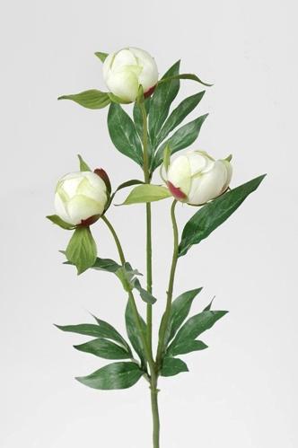 Peon - Hvit - 45 cm - www.frokenfraken.se
