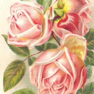 Serviett - Roser - rosa - 33 x 33 cm - www.frokenfraken.se
