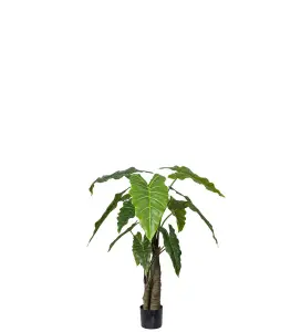 Alocasia - Grønn - 120 cm - www.frokenfraken.se