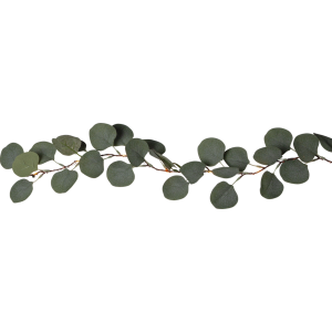 Lyslenke - eukalyptus - 20 lamper - 180 cm - www.frokenfraken.se
