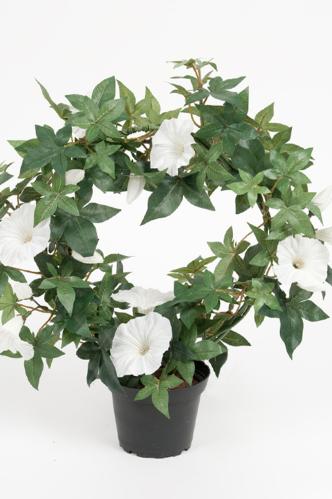 Blomst for dagen - Hvit - 35 cm - www.frokenfraken.se