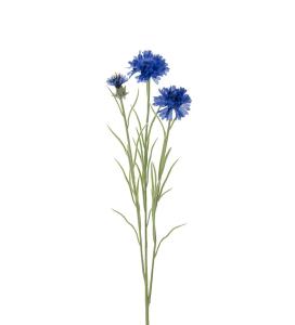 Blåklint - Blå - 65 cm - www.frokenfraken.se