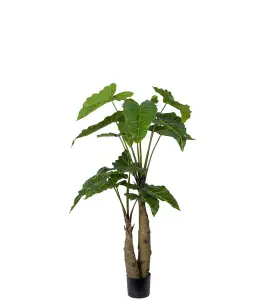 Alocasia - Grønn - 150 cm - www.frokenfraken.se