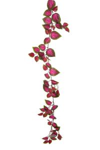 Coleus Girlang - Rosa - 160 cm - www.frokenfraken.se
