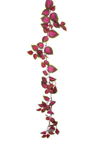 Coleus Girlang - Rosa - 160 cm - www.frokenfraken.se
