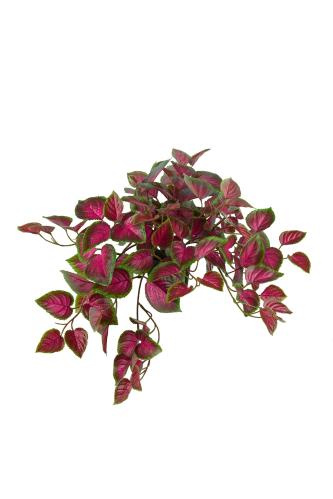 Coleus - Rosa - 30 cm - www.frokenfraken.se