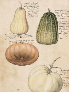 Plakat - Anno 1550 - 18 x 24 cm - www.frokenfraken.se