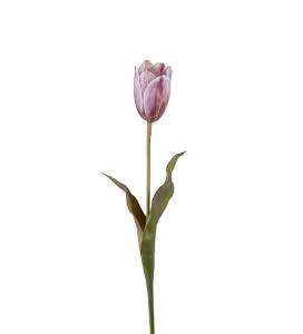 Tulipan - Lilla - 58 cm - www.frokenfraken.se