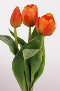 Tulipaner - 3-pakning - Oransje - 36 cm - www.frokenfraken.se