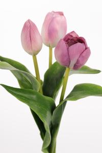 Tulipaner - 3-pakning - Lilla - 36 cm - www.frokenfraken.se