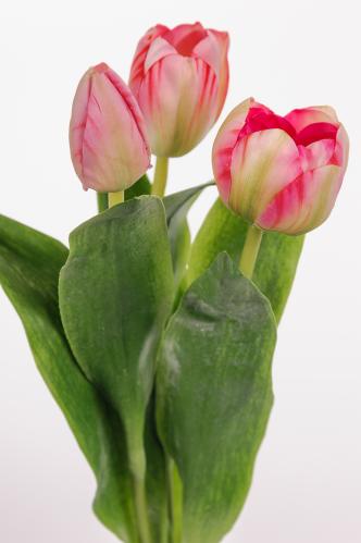Tulipaner - 3-pakning - Rosa - 36 cm - www.frokenfraken.se