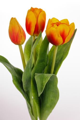 Tulipaner - 3-pakning - Oransje - 36 cm - www.frokenfraken.se