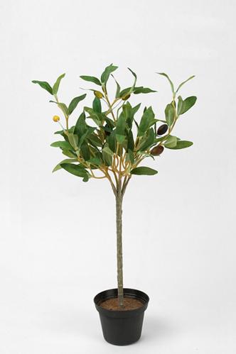 Oljetre - Grønn - 40 cm - www.frokenfraken.se