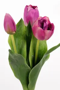 Tulipaner - 3-pakning - Lilla - 36 cm - www.frokenfraken.se