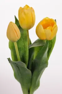 Tulipaner - 3-pakning - Gul - 36 cm - www.frokenfraken.se