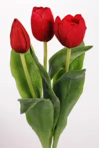 Tulipaner - 3-pakning - Rød - 36 cm - www.frokenfraken.se