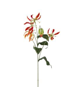 Gloriosa - Oransje - 100 cm - www.frokenfraken.se