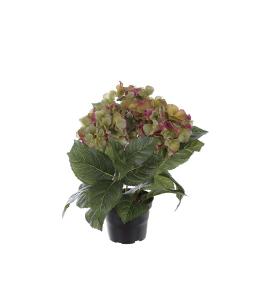 Hortensia - Grønn - 30 cm - www.frokenfraken.se
