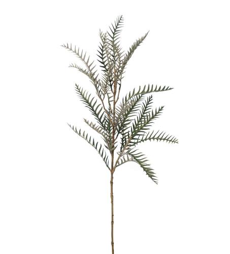 Grevillea - Grønn - 75 cm - www.frokenfraken.se