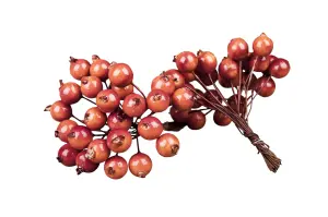 Bær - Oransje knippe - 13 mm - www.frokenfraken.se