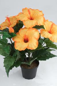 Hibiskus - Oransje - 36 cm - www.frokenfraken.se