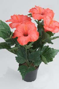 Hibiskus - Rød - 36 cm - www.frokenfraken.se