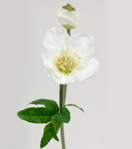 Julerose - Hvit - 36 cm - www.frokenfraken.se