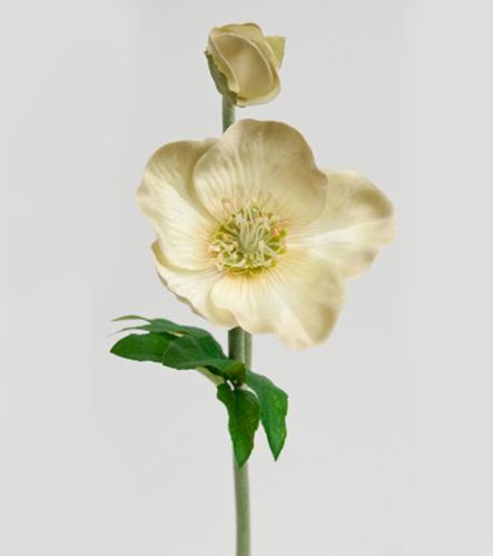 Julerose - Grønn - 36 cm - www.frokenfraken.se