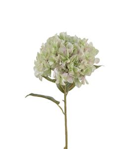 Hortensia - Lime - 110 cm - www.frokenfraken.se