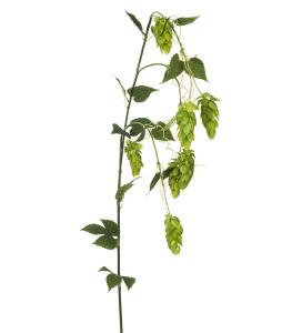 Humle - Grønn - 125 cm - www.frokenfraken.se