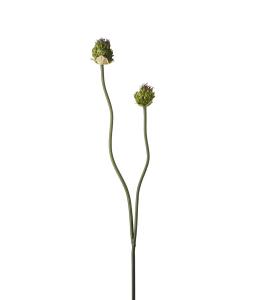 Kløver - Grønn - 65 cm - www.frokenfraken.se
