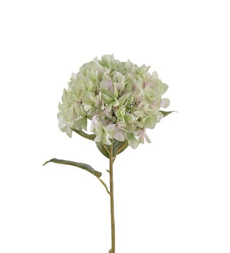 Hortensia - Lime - 110 cm - www.frokenfraken.se