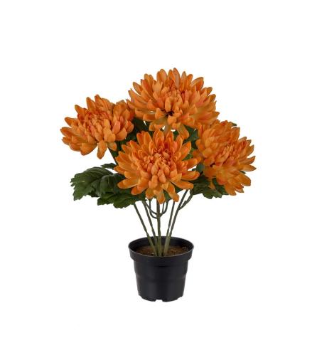 Krysantemum - Oransje - 30 cm - www.frokenfraken.se