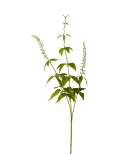 Lavendel - Vit - 70 cm - www.frokenfraken.se