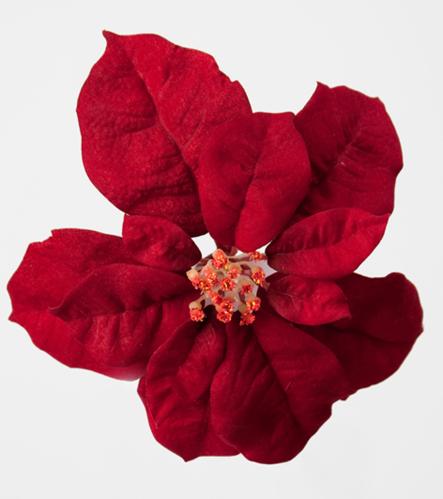 Julestjerne blomst - dyp rød - med klips - www.frokenfraken.se