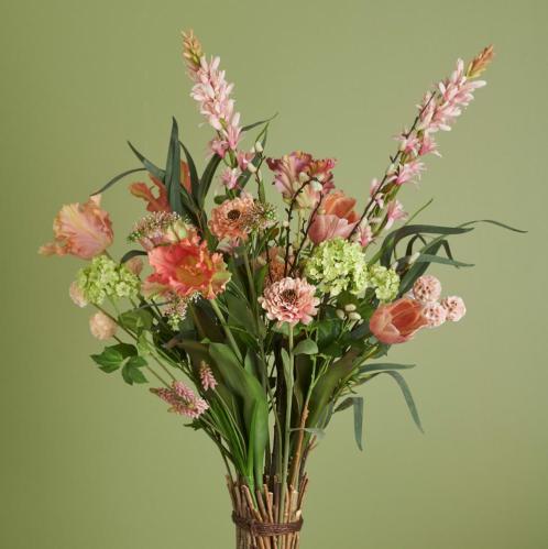 Tulipan - Aprikos - 70 cm - www.frokenfraken.se