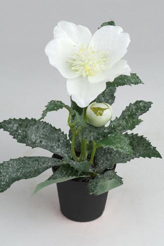 Julerose med is - Hvit - 19 cm - www.frokenfraken.se