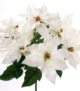 Julestjerne bukett - Hvit - 35 cm - www.frokenfraken.se