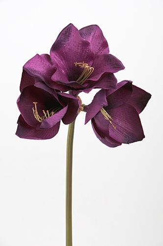Amaryllis - Lilla - 60 cm - www.frokenfraken.se