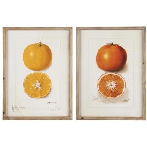 Tavler i tre rammer - 2 stk - Sitrus - 45 x 60 cm - www.frokenfraken.se