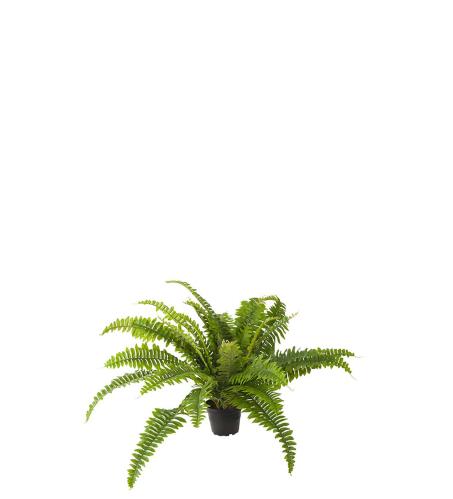 Ormbunke - Grønn - 35 cm - www.frokenfraken.se