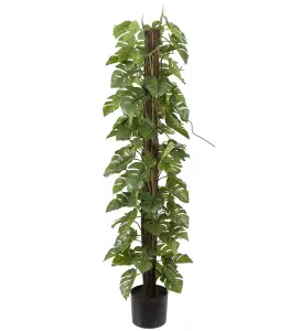 Monstera - Grønn - 120 cm - www.frokenfraken.se