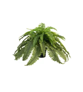 Ormbunke - Grønn - 40 cm - www.frokenfraken.se