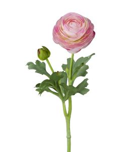 Ranuncel - Rosa - 50 cm - www.frokenfraken.se