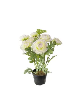 Ranuncel - Lilla - 30 cm - www.frokenfraken.se