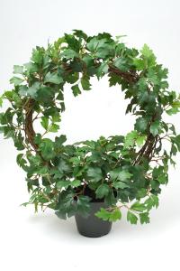 Cissus - Grønn - 45 cm - www.frokenfraken.se