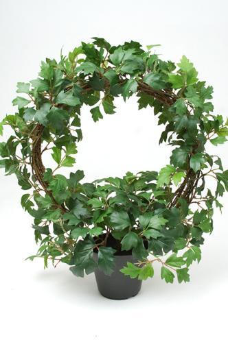 Cissus - Grønn - 45 cm - www.frokenfraken.se