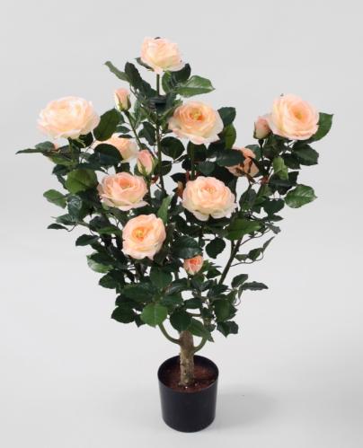 Rosenträd - Rosa - 86 cm - www.frokenfraken.se
