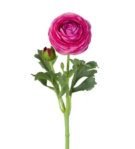 Ranuncel - Rosa - 50 cm - www.frokenfraken.se